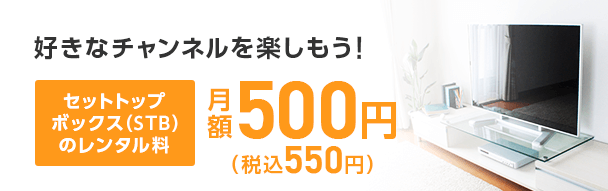 好きな番組・ビデオ見放題！
