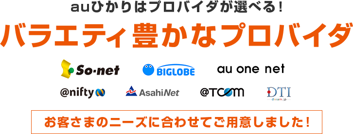 バラエティ豊かなプロバイダ