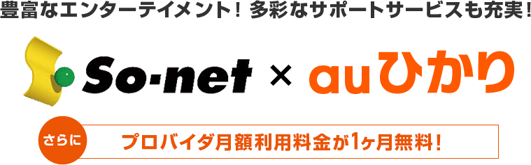 So-net×auひかり