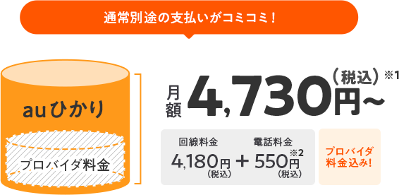 通常別途の支払いがコミコミ!