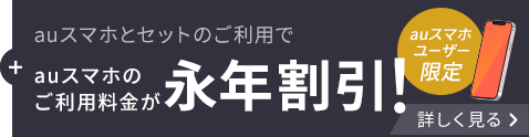 月間データ量無制限