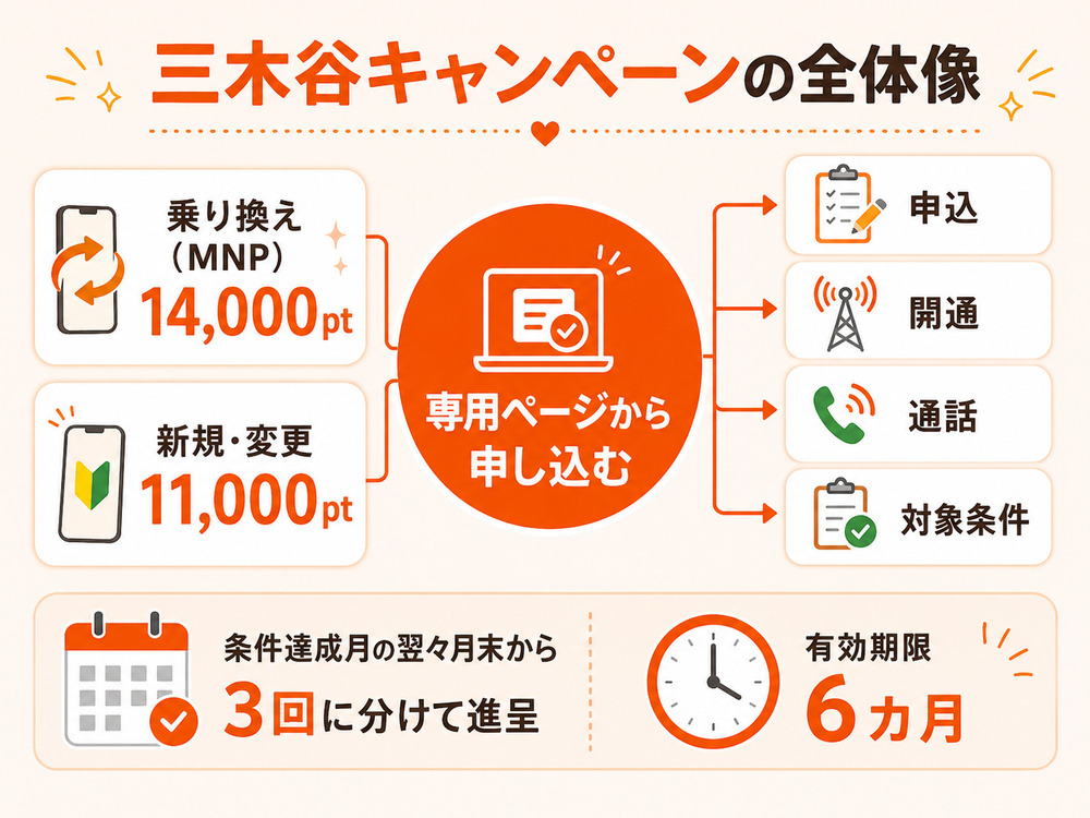 三木谷キャンペーンの全体像を示した図