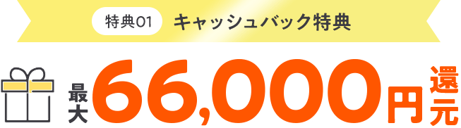 キャッシュバック特典 最大66,000円還元