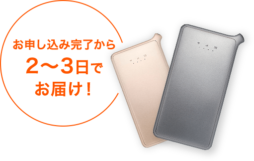 2~3日でお届け！