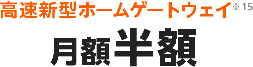 高速新型ホームゲートウェイ月額半額