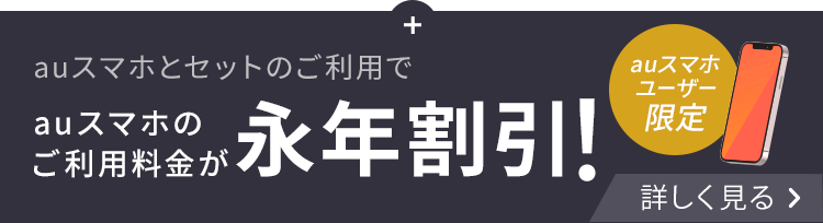 月間データ量無制限