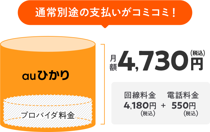 通常別途の支払いがコミコミ！