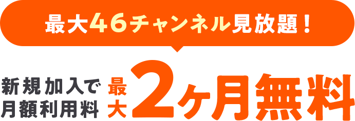 最大46チャンネル見放題！ 新規加入で月額利用料最大2カ月無料