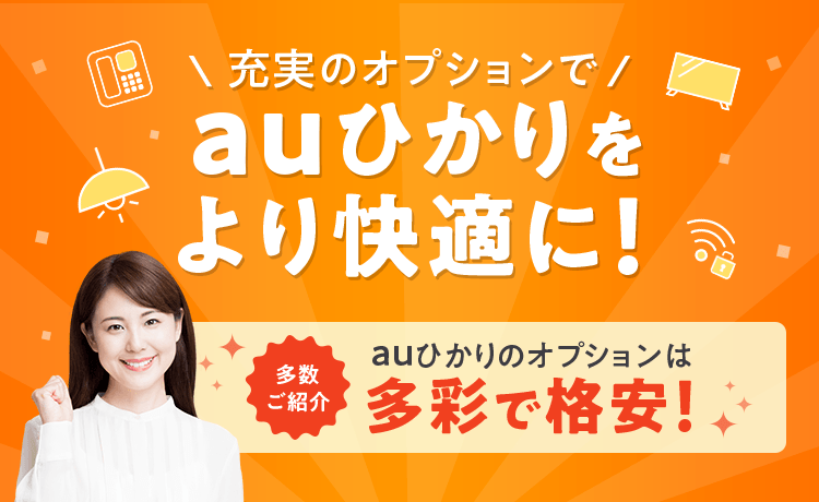 充実のオプションサービスでauひかりをより快適に！