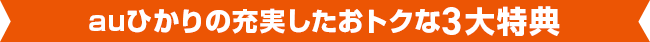 auひかりの充実したおトクな3大特典